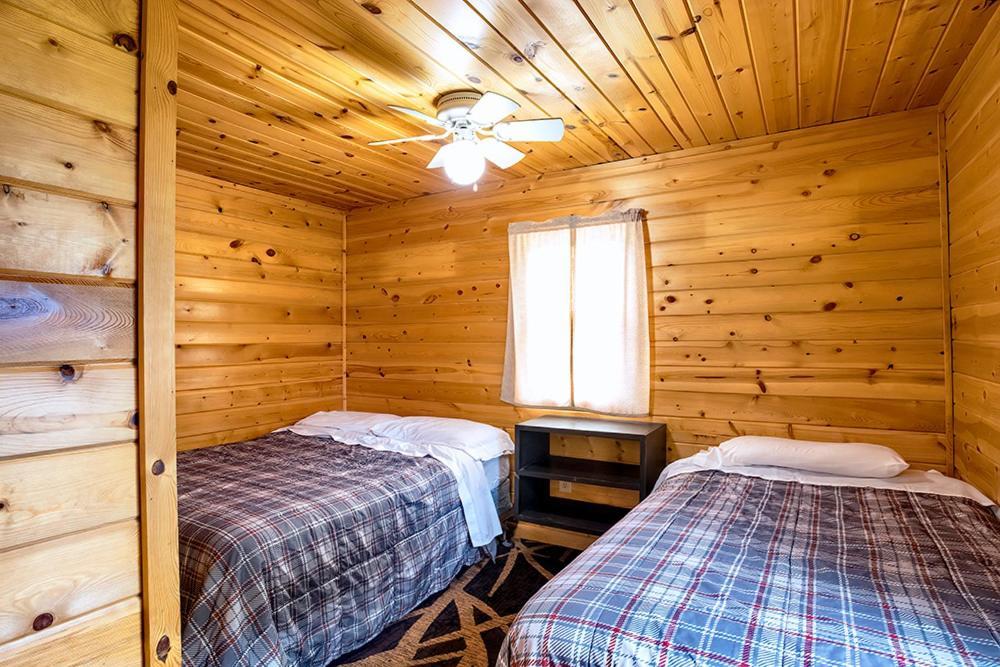 Big River Escape Riverside Cabins Buffalo City Zewnętrze zdjęcie